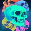 Colorful Skulls painting by numbers