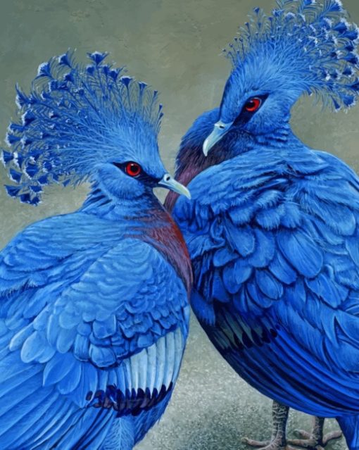 Crowned Pigeon Of New Guinea painting by numbers