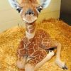cute Giraffe painting by numbers