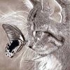 Realistic Cat Drawing painting by numbers