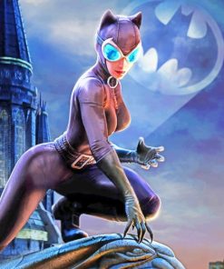 DC Universe Catwoman paint by numbers