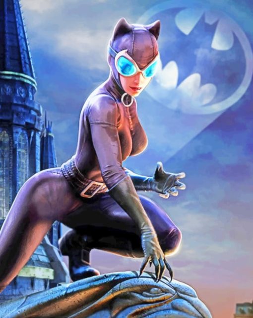 DC Universe Catwoman paint by numbers