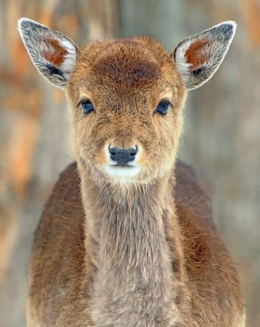 Baby Deer Close Up paint by numbers