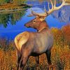 Deer Grand Teton National Park painting by numbers