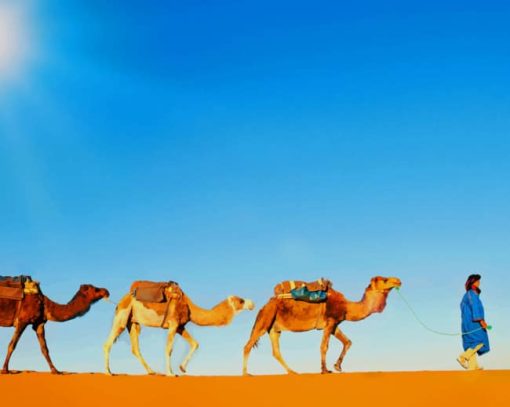 Desert Camels In A Line paint by numbers