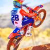 Dirt Bike Rider paint by numbers