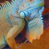 Blue Iguana Turning Brown painting by numbers