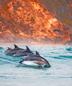 A Pod Of Dolphins In The Sea paint by numbers