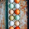Dozen Eggs On Tray painting by numbers