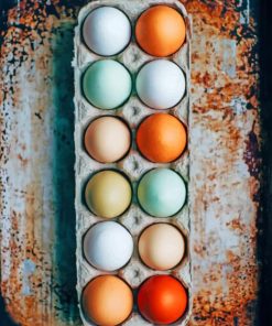 Dozen Eggs On Tray painting by numbers