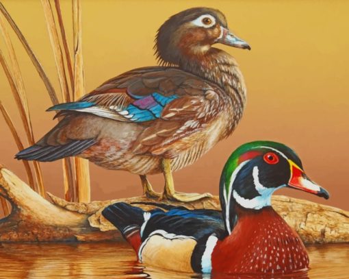 Two Colorful Ducks paint by numbers