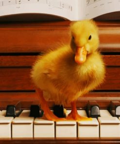 Yellow Baby Duck On A Piano paint by numbers