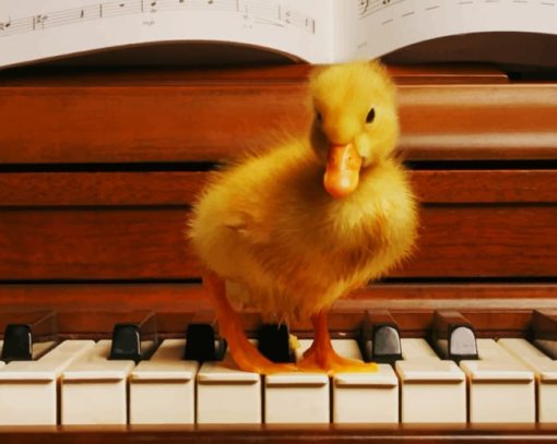 Yellow Baby Duck On A Piano paint by numbers