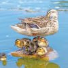 Duck With Its Baby Ducklings paint by numbers