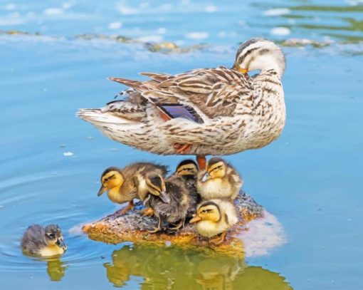 Duck With Its Baby Ducklings paint by numbers