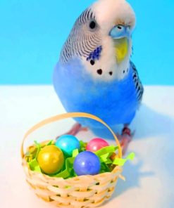 Easter Parrot paint by numbers
