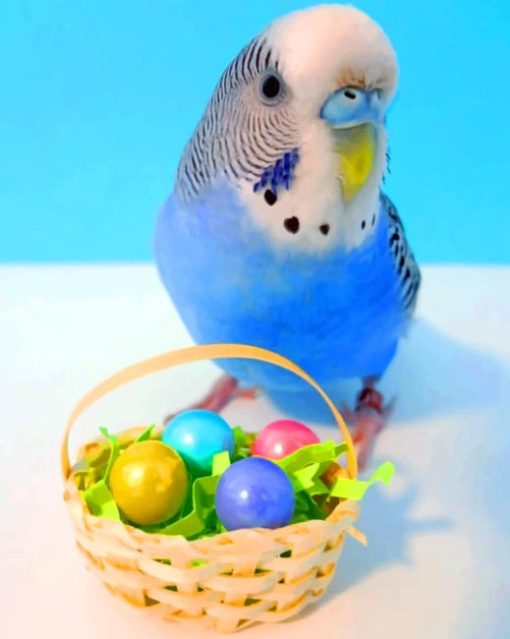 Easter Parrot paint by numbers