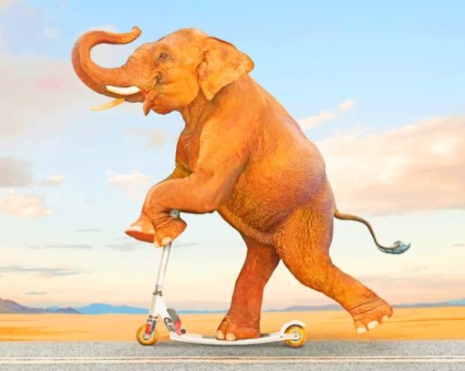 Elephant On Kick Scooter paint by numbers