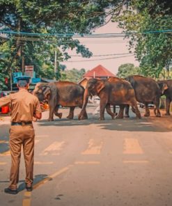 Elephants Crossing The Street paint by numbers