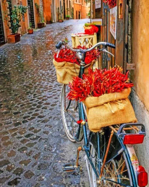 Empty Street In Italy painting by numbers