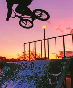 Extreme Sport BMX paint by numbers