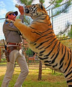 Feeding A Giant Tiger paint by numbers