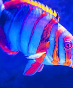 Colorful Fish In Aquarium paint by numbers