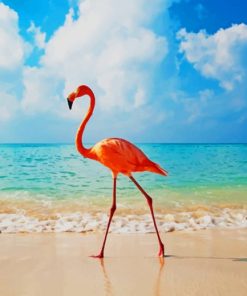 A Flamingo At The Beach paint by numbers