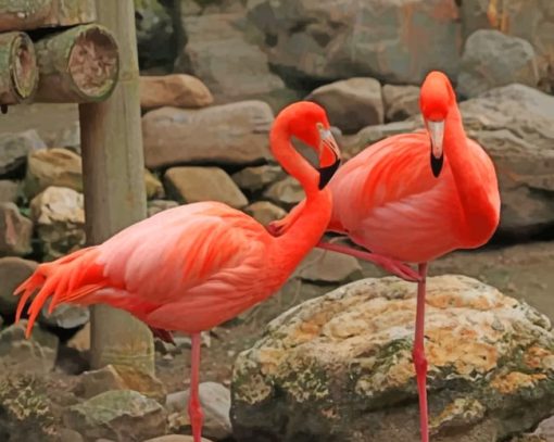 Flamingos In The Zoo painting by numbers