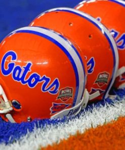 Florida Gators Team Helmets paint by numbers