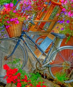 Flower Bicycle painting by numbers