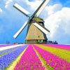 Flowers Field Windmill paint by numbers