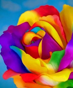 Flower With Rainbow Colors painting by numbers