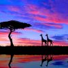 Giraffe Family By The Lake paint by numbers