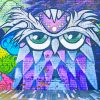 Owl Street Graffiti paint by numbers