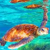 Sea turtles painting by numbers