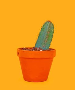 Green Cactus On Orange Pot painting by numbers