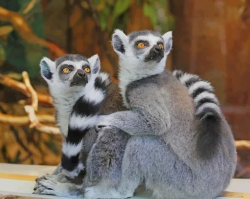 Two Lemurs painting by numbers