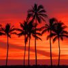 Hawaii Palms Sunset paint by numbers