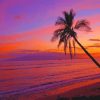 Hawaiian Sunset Beach paint by numbers
