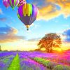 Hot Air Balloons Over Lavender Field paint by numbers