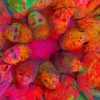 Indian Holi Festival painting by numbers