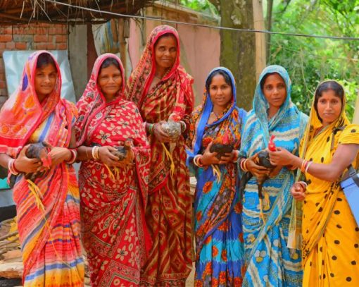 Indian Women Wearing Sari painting by numbers
