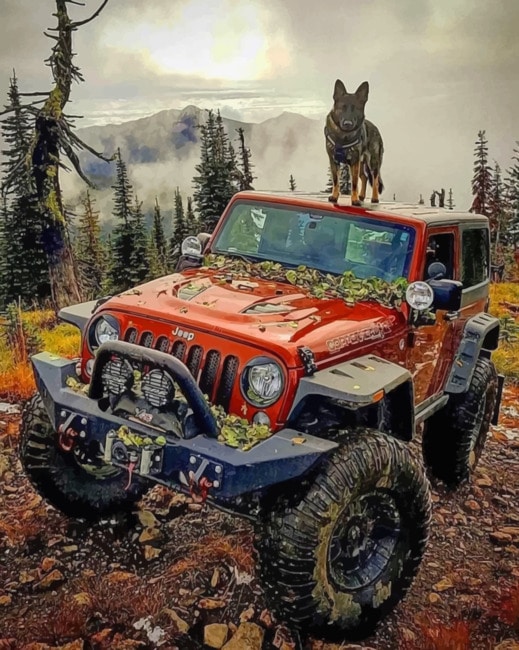 Red Jeep And Dog painting by numbers