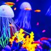 Colorful Under Water World paint by numbers