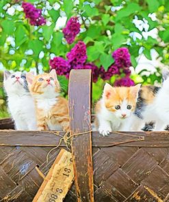 Kittens In Basket paint by numbers