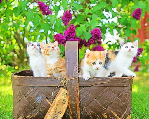 Kittens In Basket paint by numbers