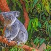 Koala Bear On A Tree Branch paint by numbers