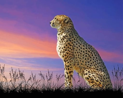 Cheetah Sitting Alone paint by numbers