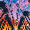 Los Angeles Palm Trees paint by numbers